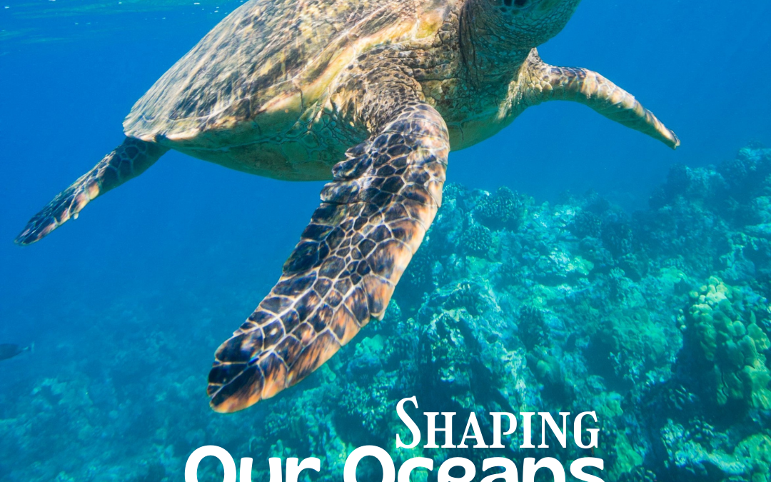 Tennesse Aquarium – Shaping Our Oceans