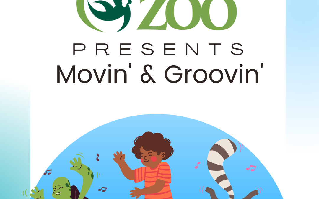 Chattanooga Zoo – Movin’ and Groovin’