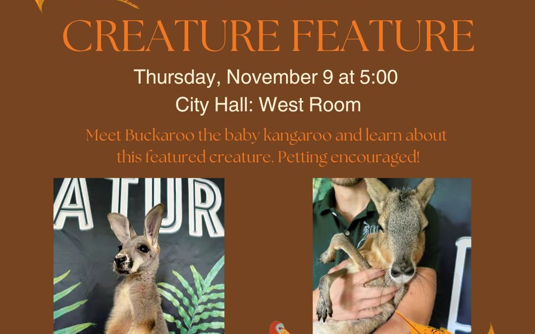 Creature Features: Visit from a Baby Kangaroo