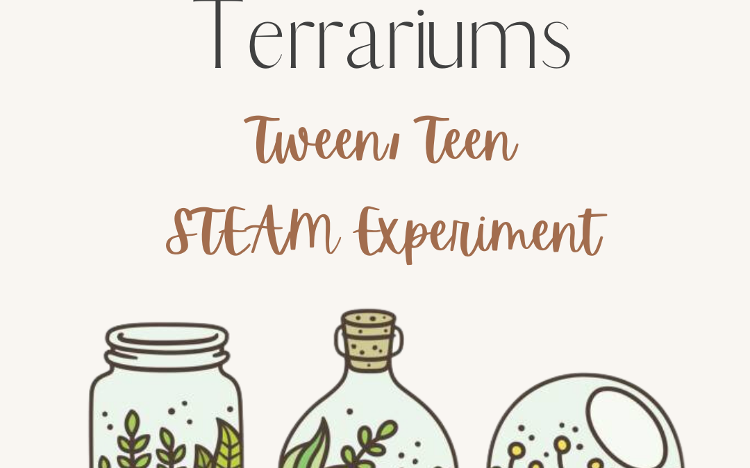 Teen/Tween Terrariums